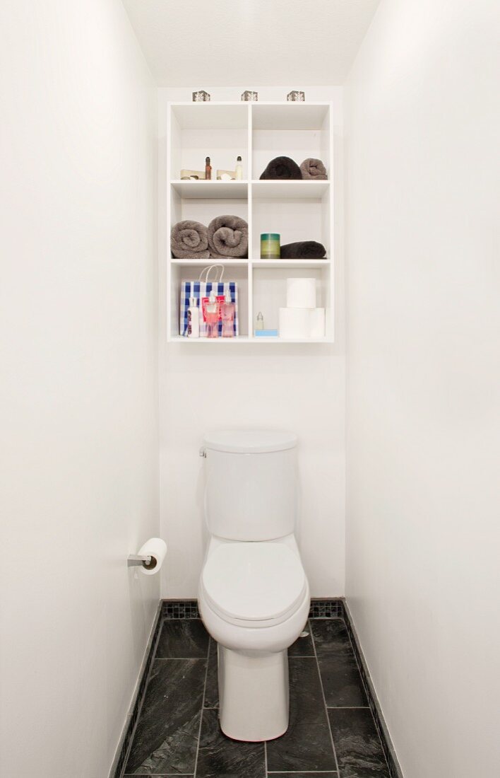 Toilet below wall-mounted shelving in narrow room