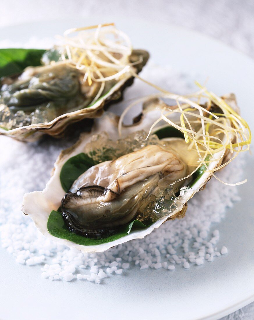 Oysters in jelly