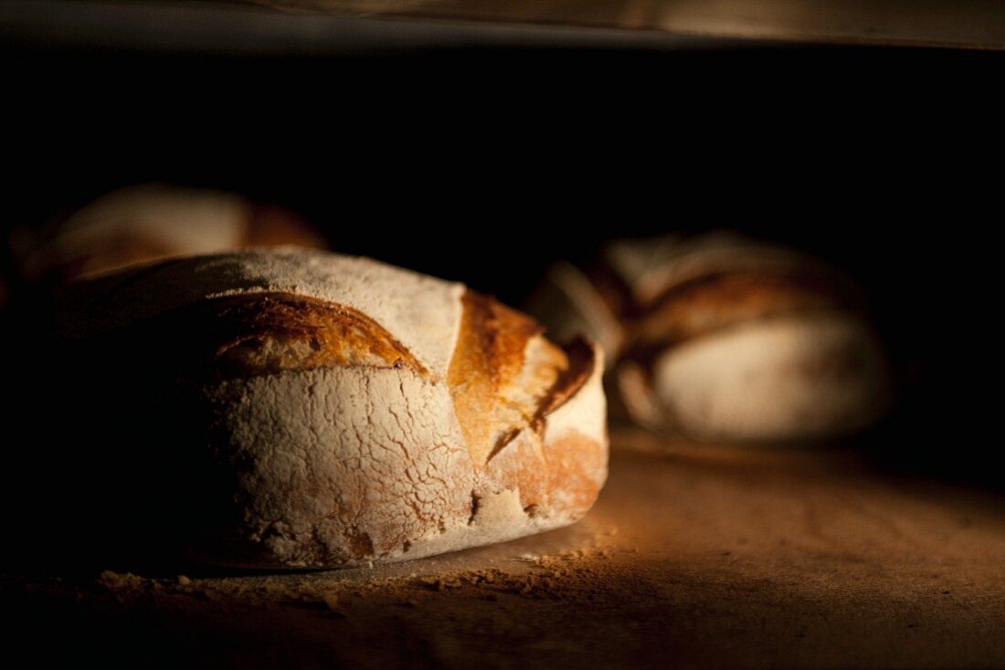 Bread in an oven