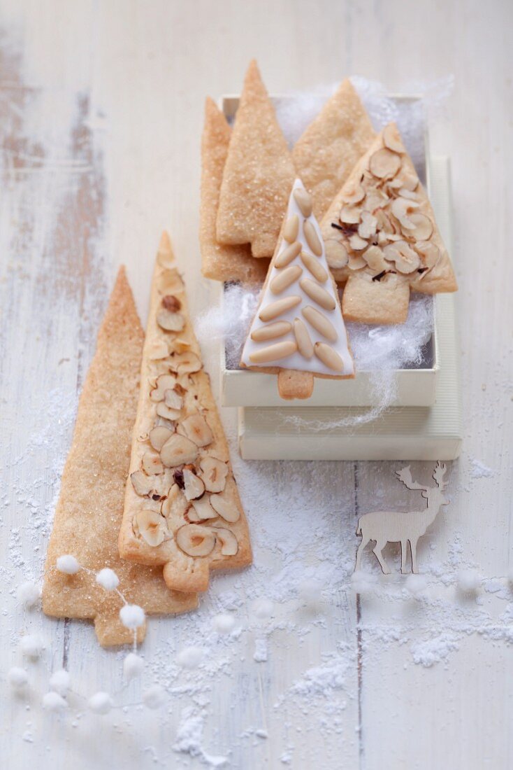 Christmas tree biscuits