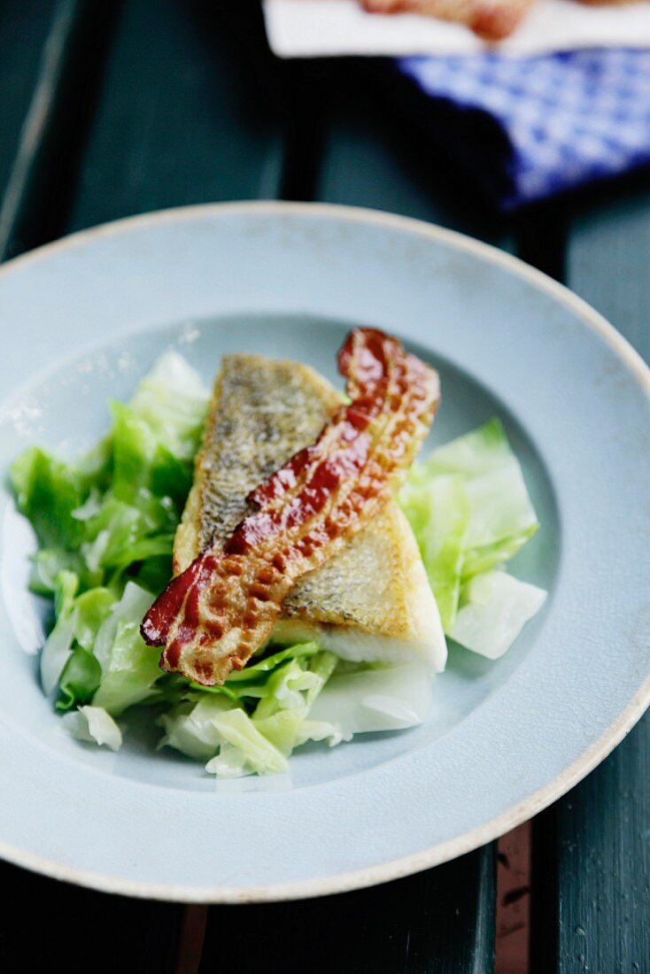 Fried zander with pointed cabbage and bacon