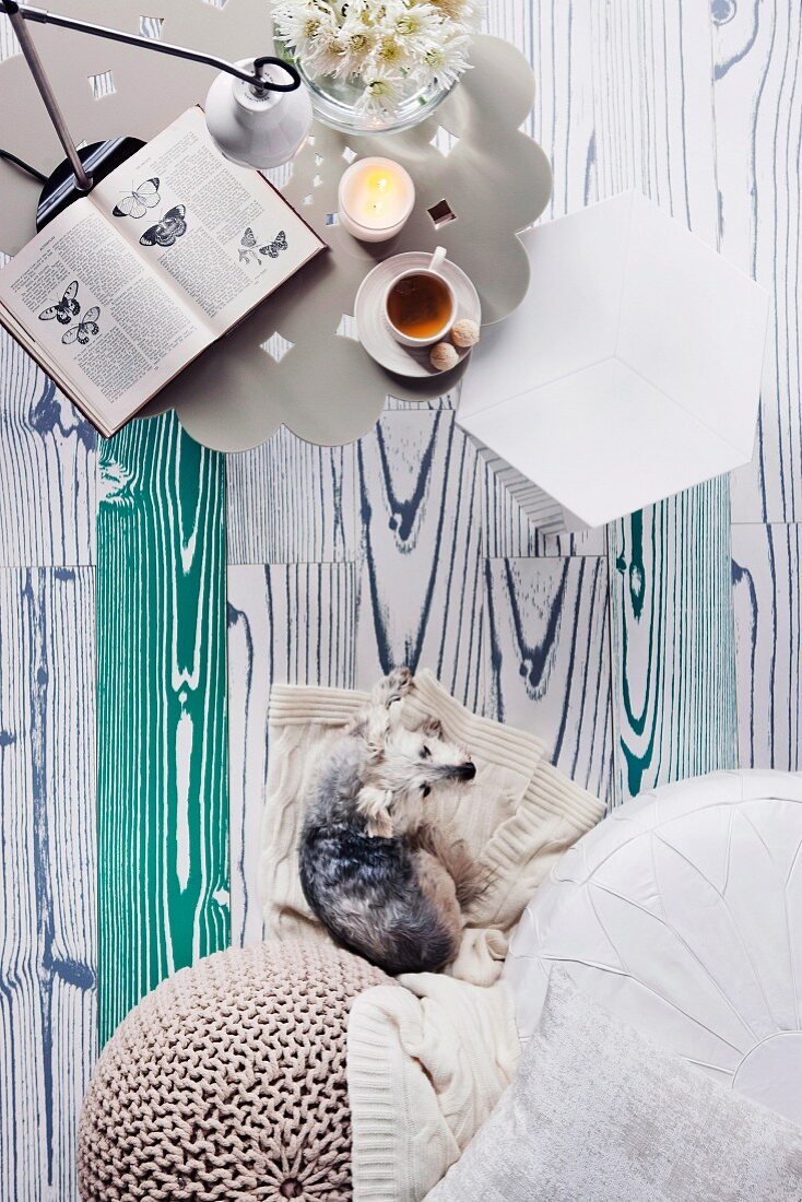 View of green wood grain of the floor and metal table in the shape of a flower; a small dog on a knitted blanket