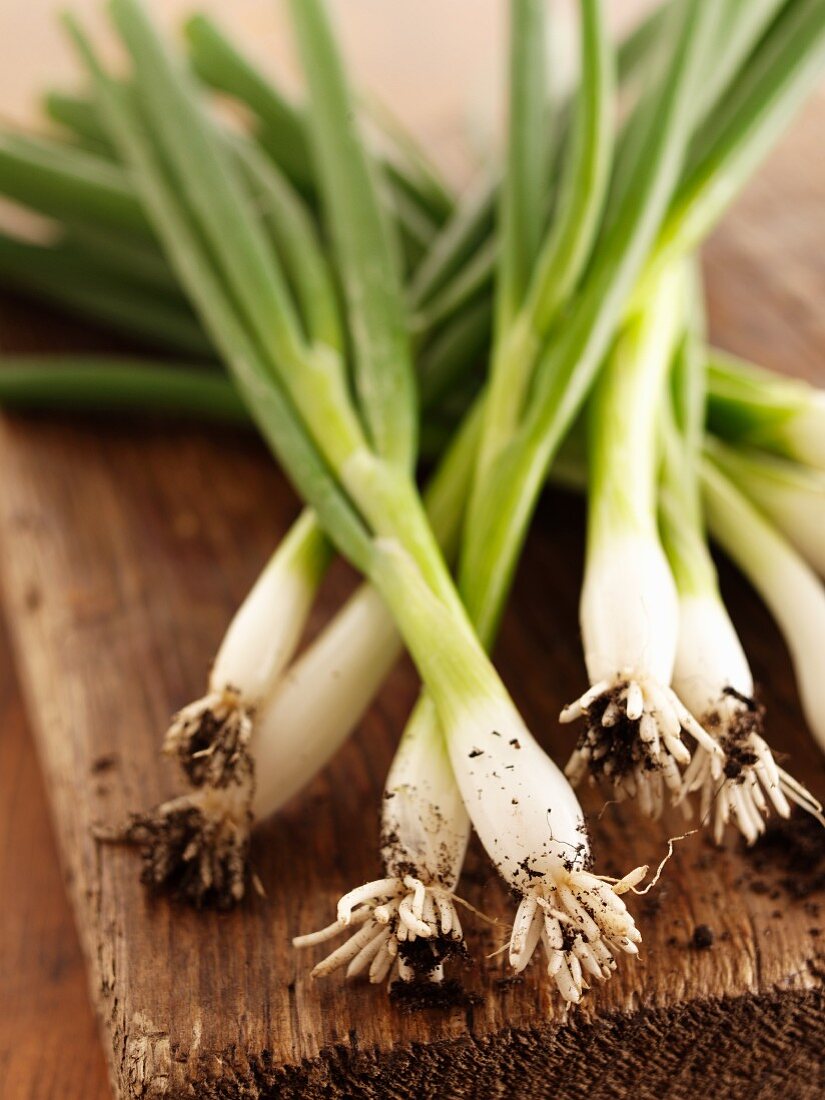 Fresh spring onions