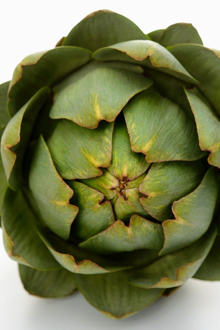 Artichoke