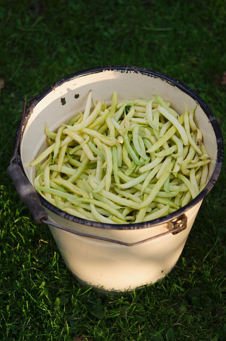 Wax beans