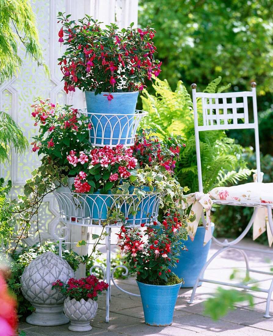 Fuchsias, impatiens and busy lizzies in blue planters, metal étagère and pine cone ornaments on terrace