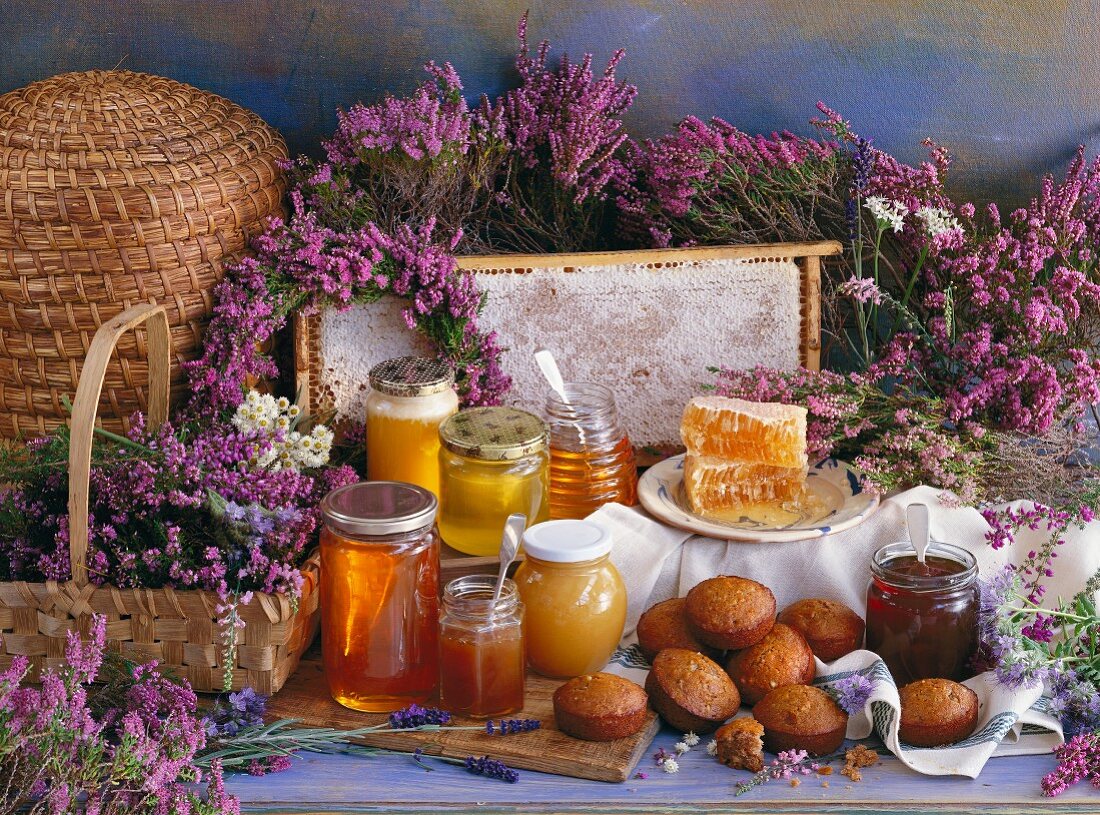 Verschiedene Honigsorten und Nonnettes (Honigkuchen, Frankreich)