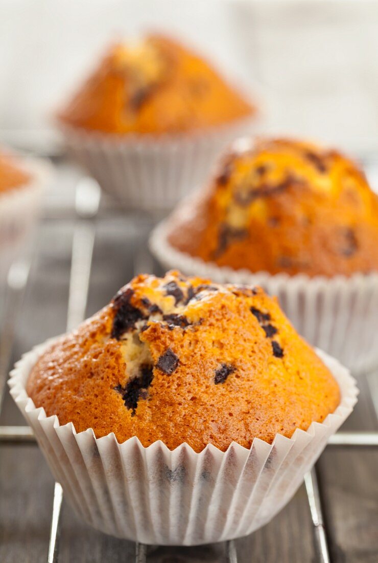 Muffins mit Schokoladenstücken