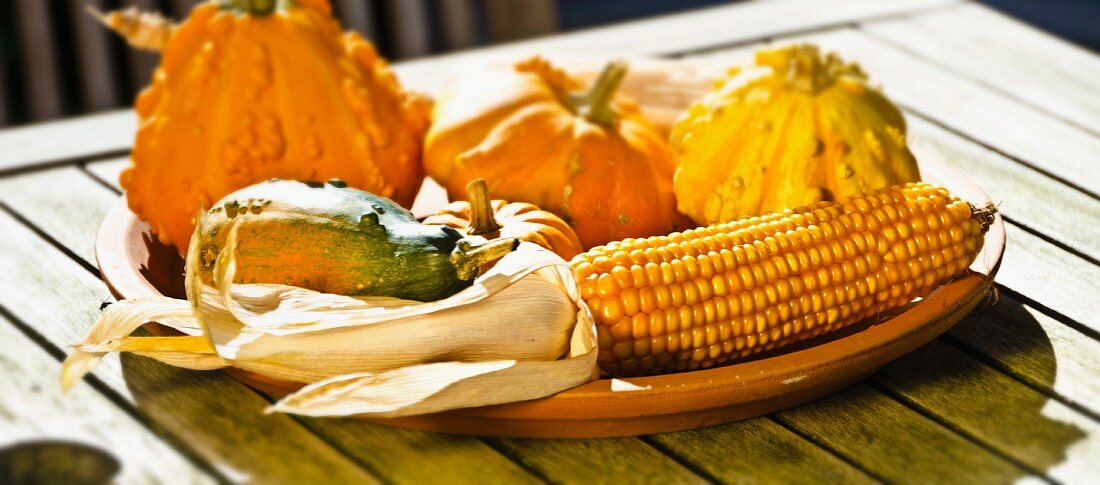 Autumn arrangement of corncobs and ornamental gourds