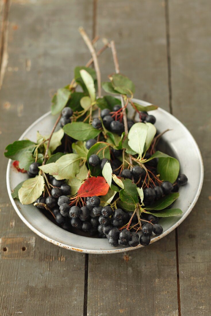 Chokeberries with leaves