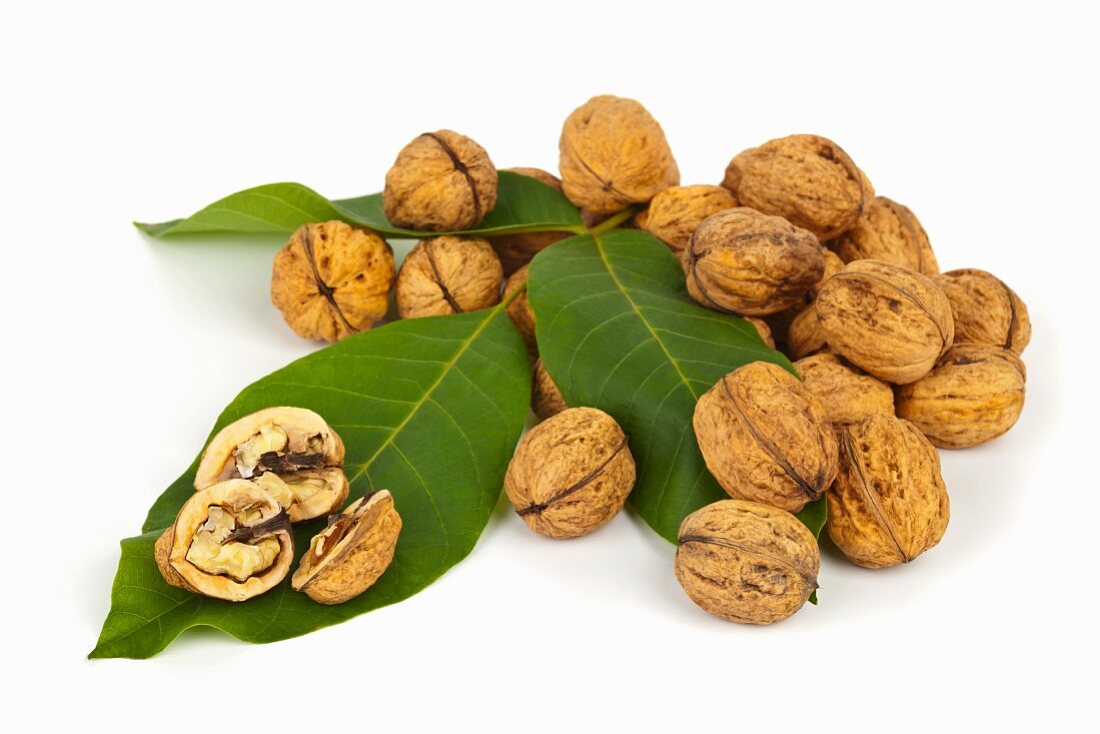Whole and halved walnuts on walnut leaves