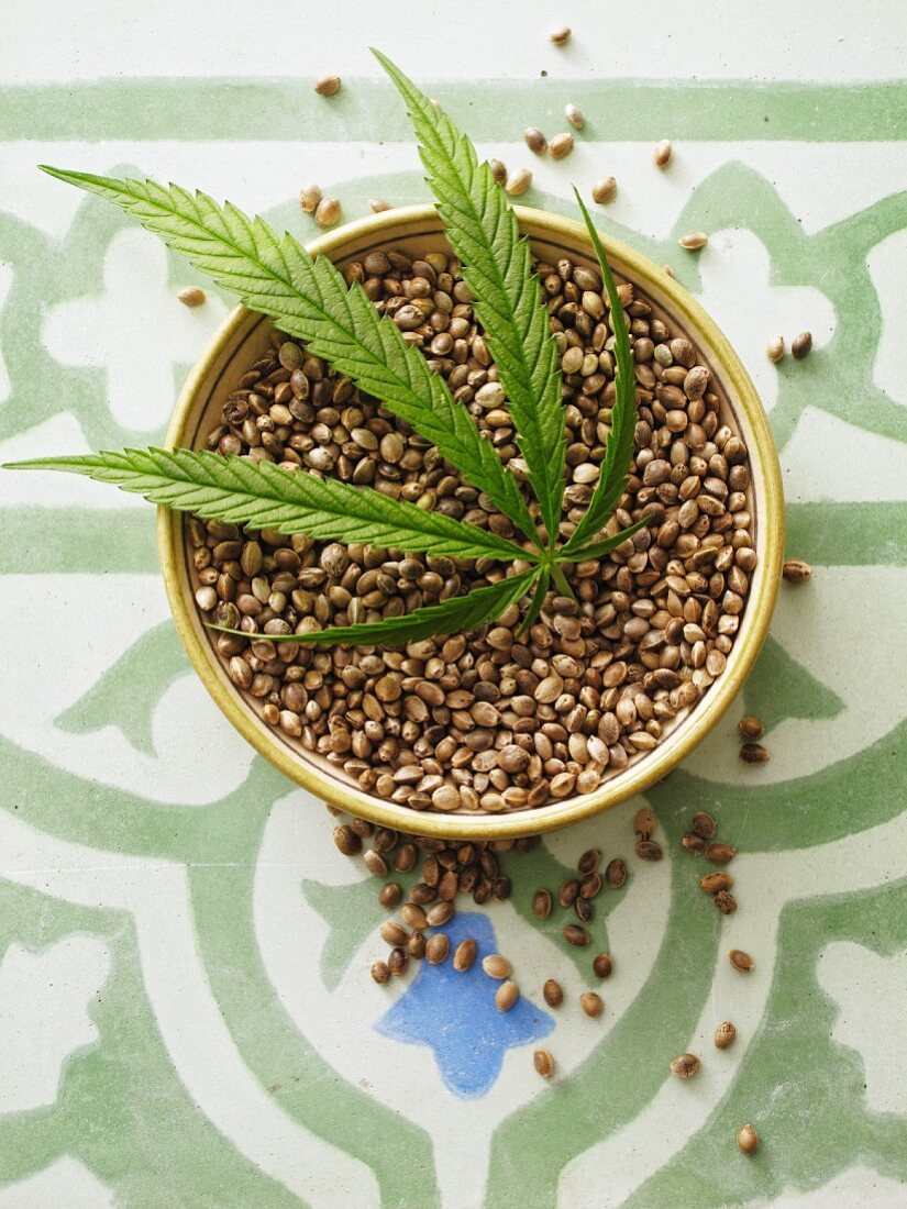 Hemp seeds and a hemp leaf