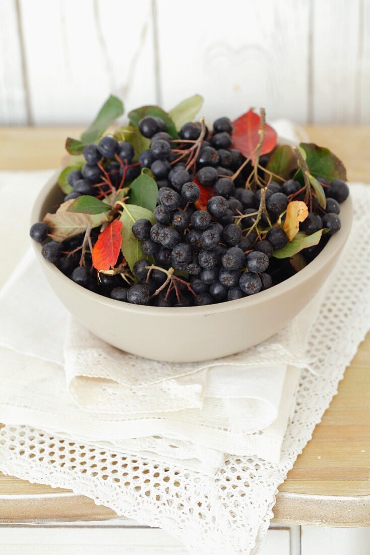 A bowl of chokeberries with leaves