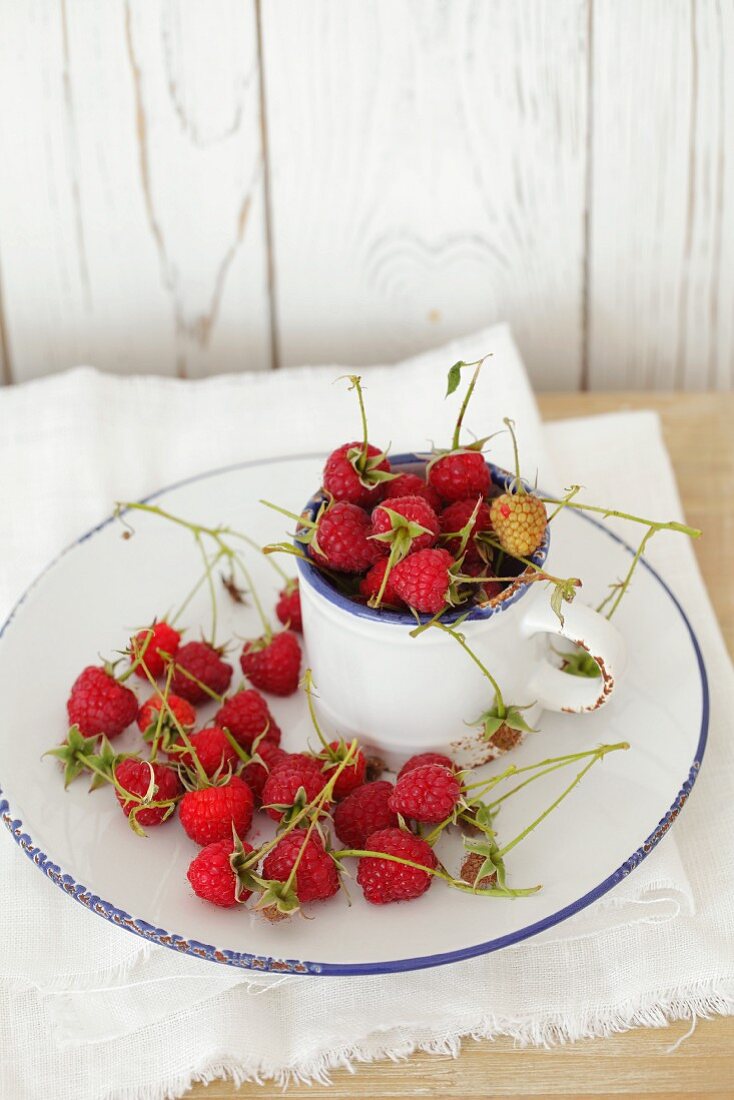 Himbeeren auf Teller und im Becher