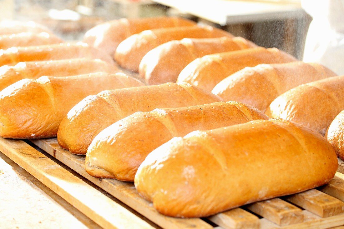 Loaves of wheat and rye bread in a bakery