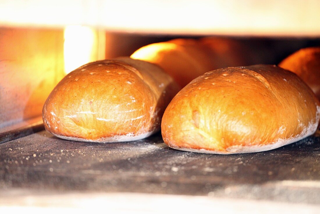 Weizen-Roggen-Mischbrote (Kasslerbrot) in einem Bäckereiofen