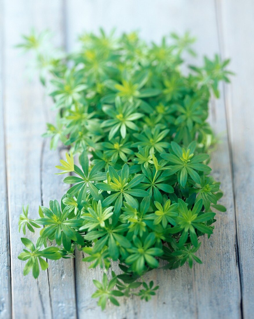 Fresh woodruff on a wooden surface
