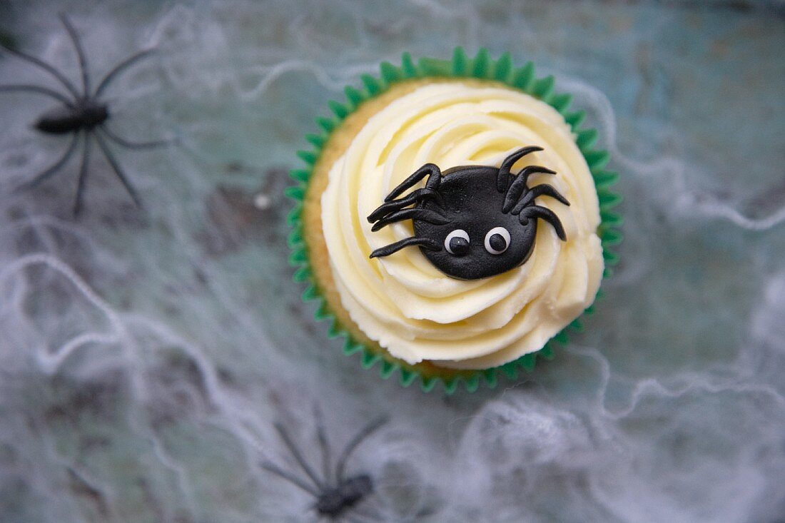 A cupcake decorated with light frosting and a marzipan spider