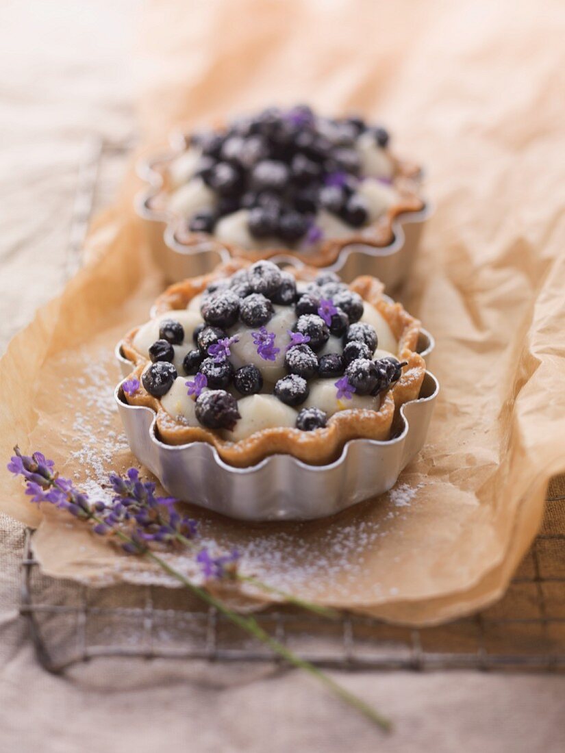 Two blueberry tartlets with lavender flowers