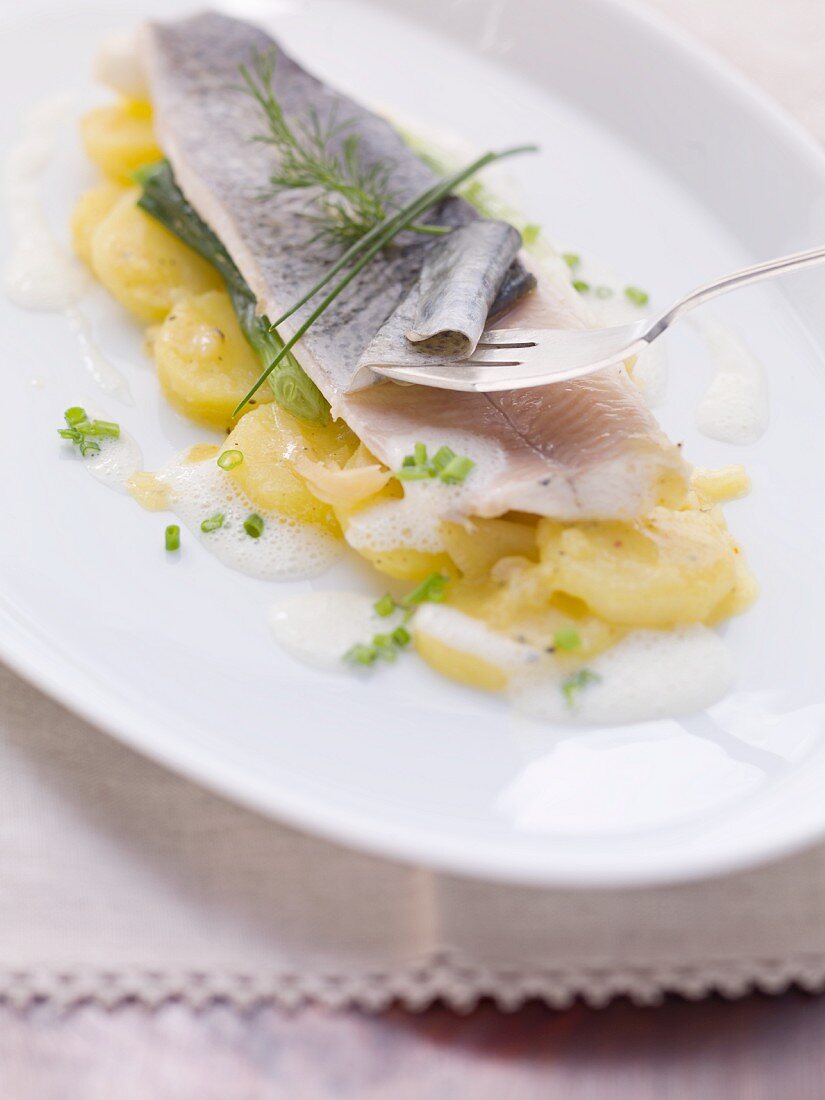 Pochiertes Forellenfilet auf Kartoffelsalat mit Ingwer