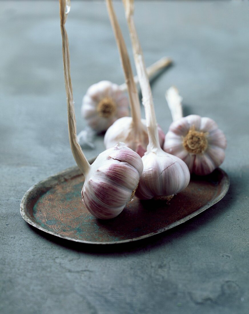 Garlic bulbs on a metal plate