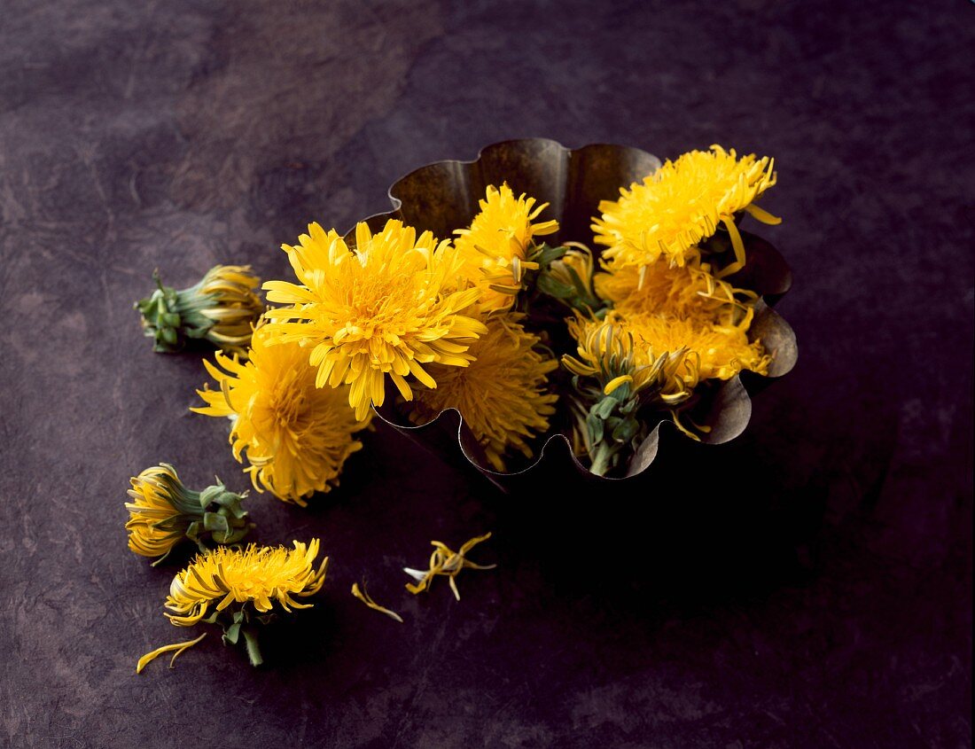 Dandelion flowers