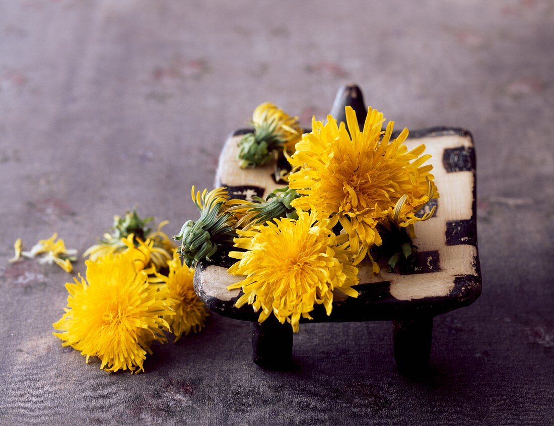 Dandelions in ceramic dish