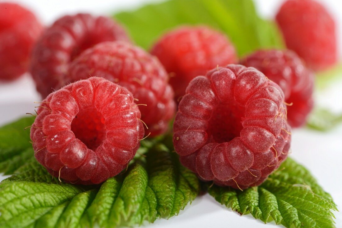 Himbeeren auf Blättern (Close Up)