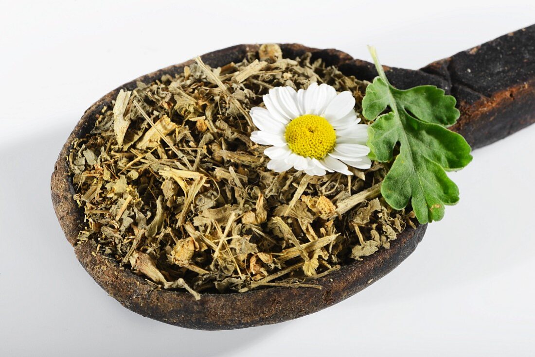 Dried feverfew on a wooden spoon