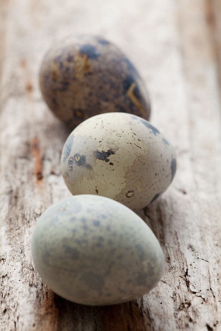 A quail's egg on a wooden surface