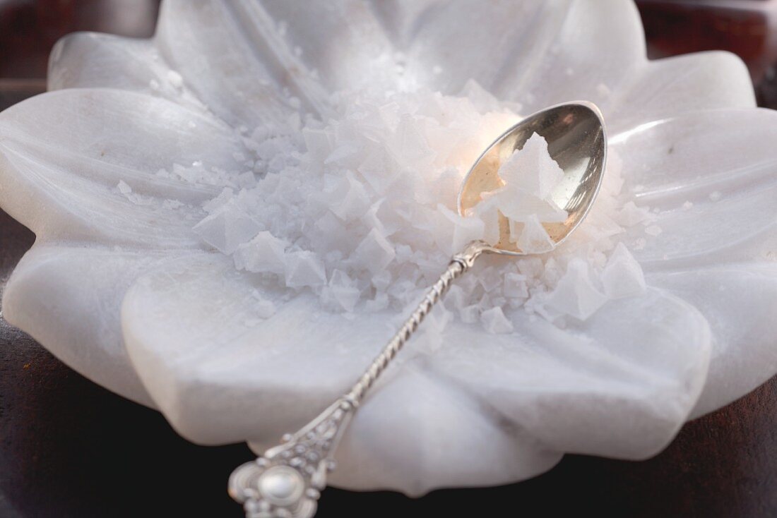 Salt crystals on a flower-shaped salt stone