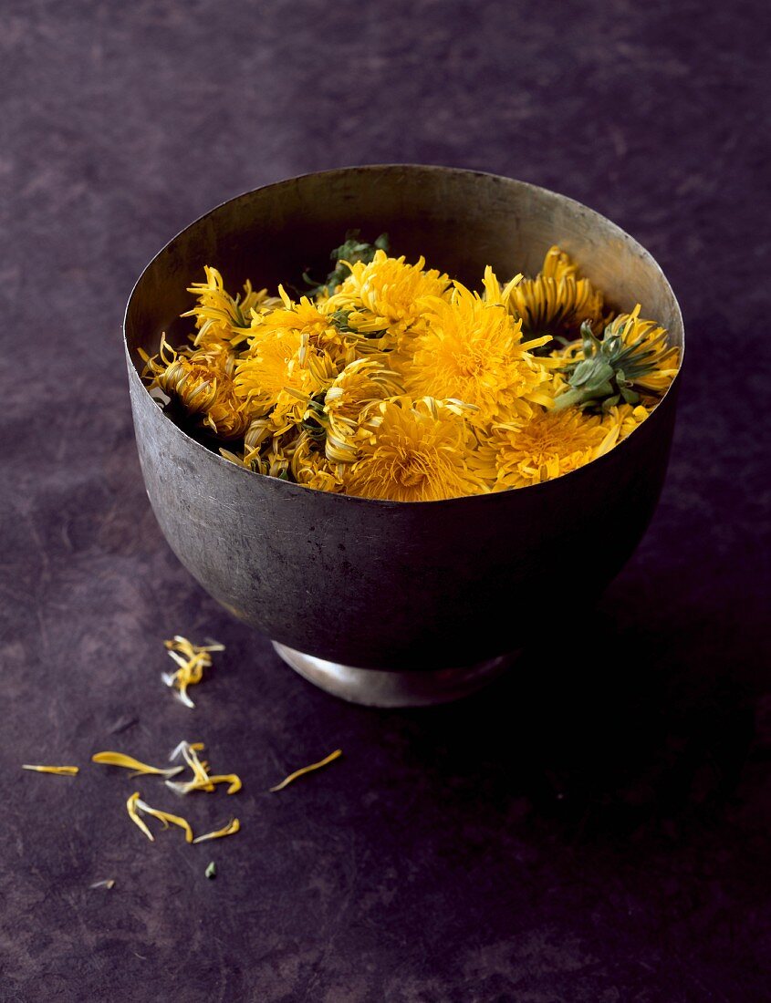 Bowl of dandelion flowers