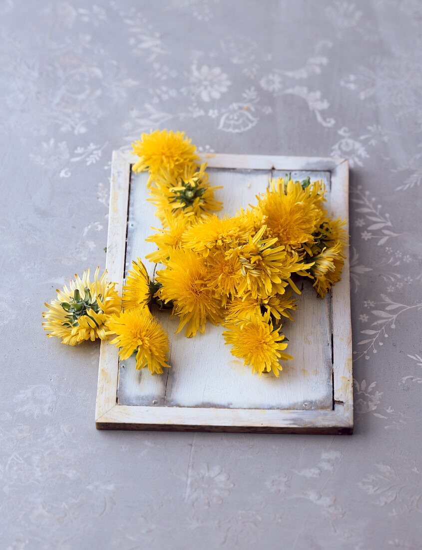 Löwenzahnblüten auf Holztablett