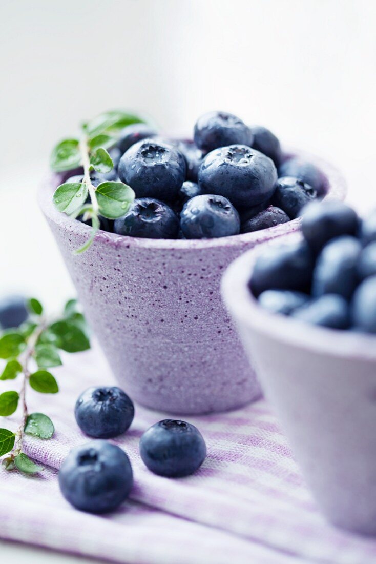 Blaubeeren