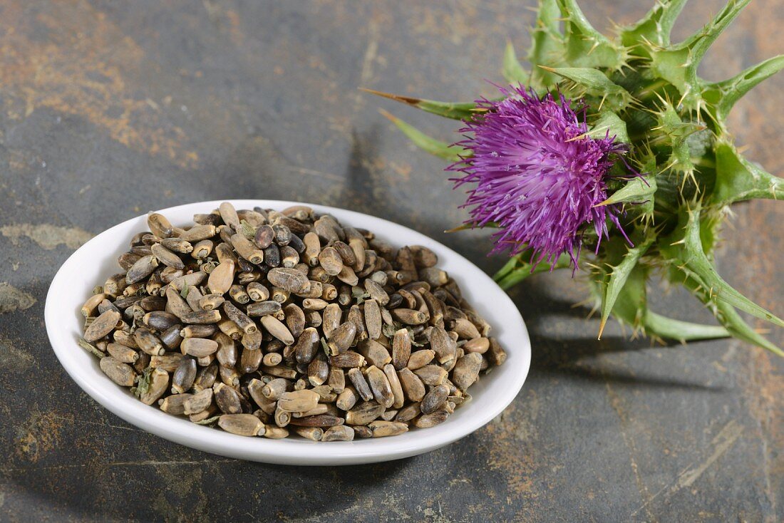 Milk thistle (a flower and seeds)