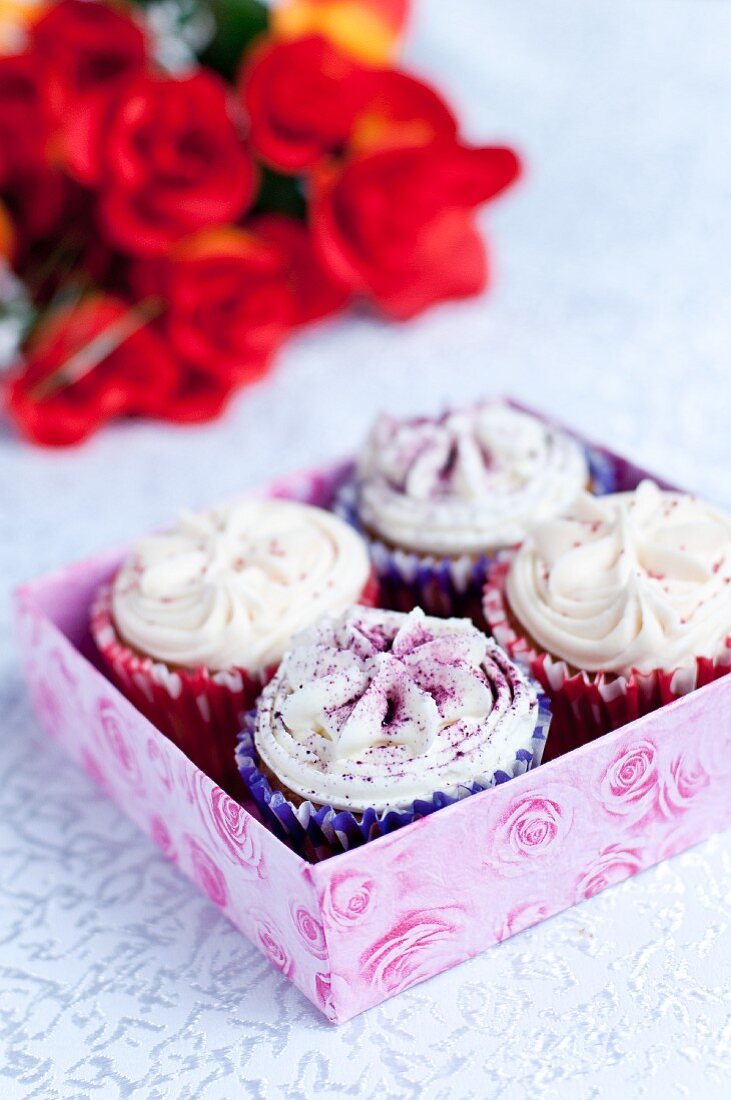 Four cupcakes for strawberry and blueberry frosting in a gift box