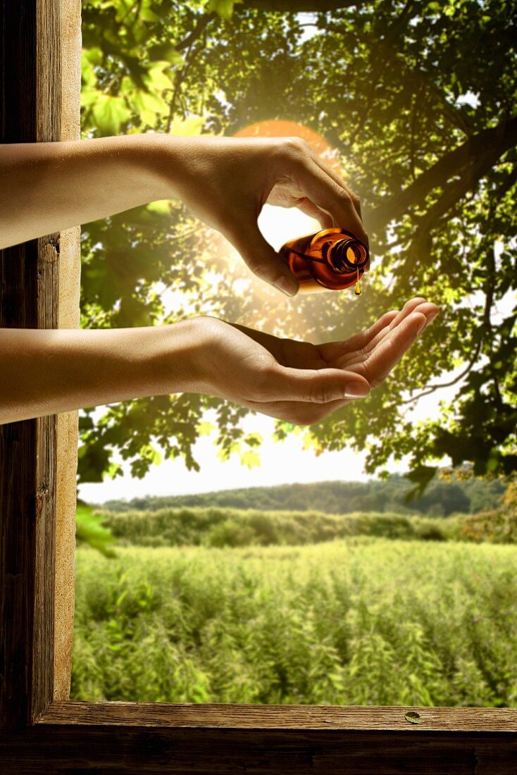 Hand Pouring Fragrance Oil into Palm; In Front of a Window