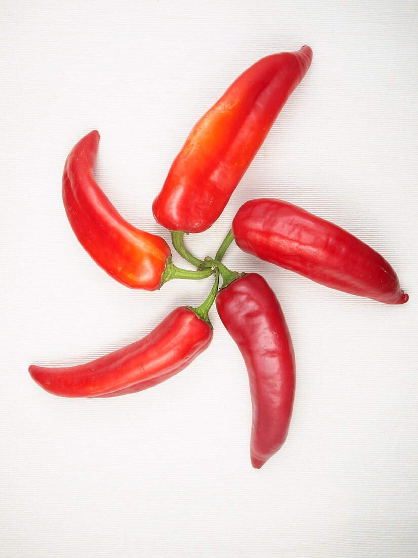 Several fresh red chillies