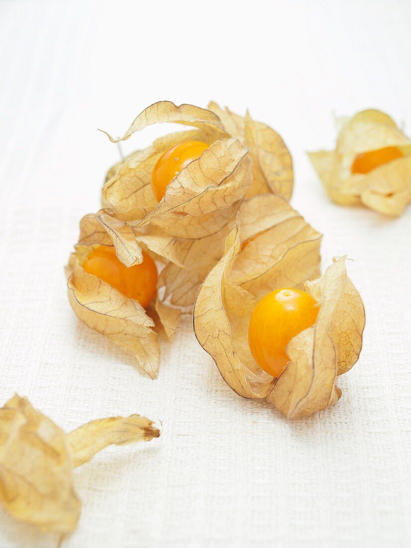 Several physalis