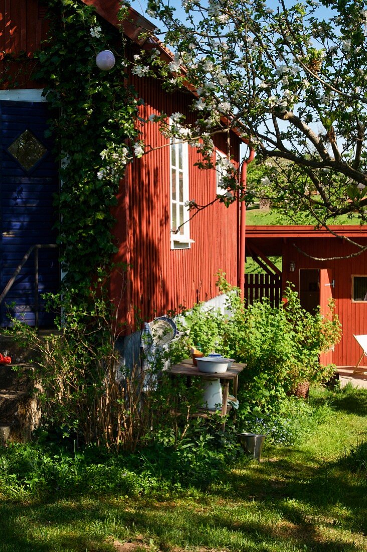 Sunny wooden facade of house with garden