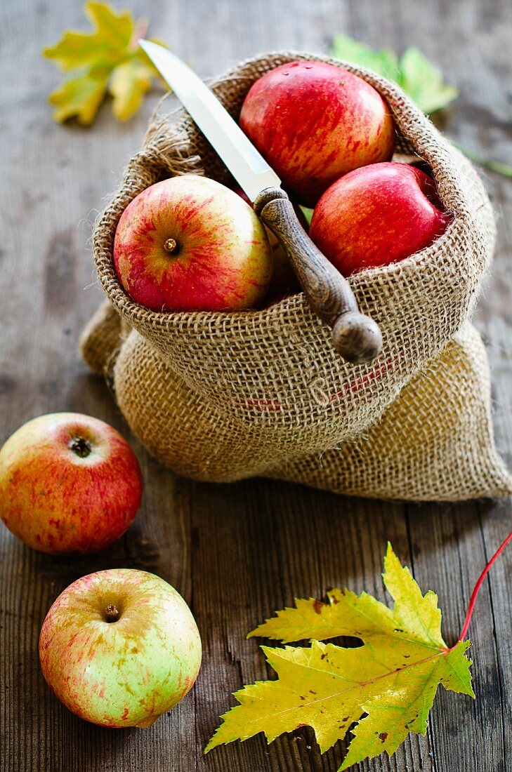 Apples in a jute sack with a knife