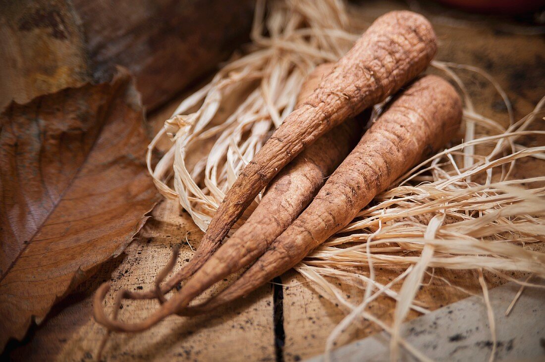 Three parsnips on a pile of raffia