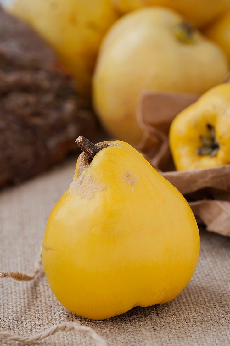 Quince (close-up)