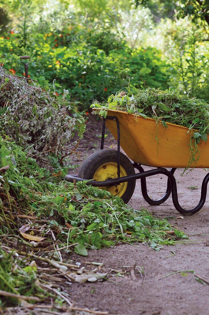 Schubkarre mit Gartenabfällen