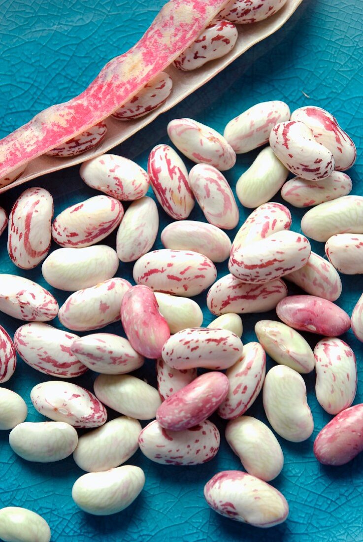 Borlotti beans with pods