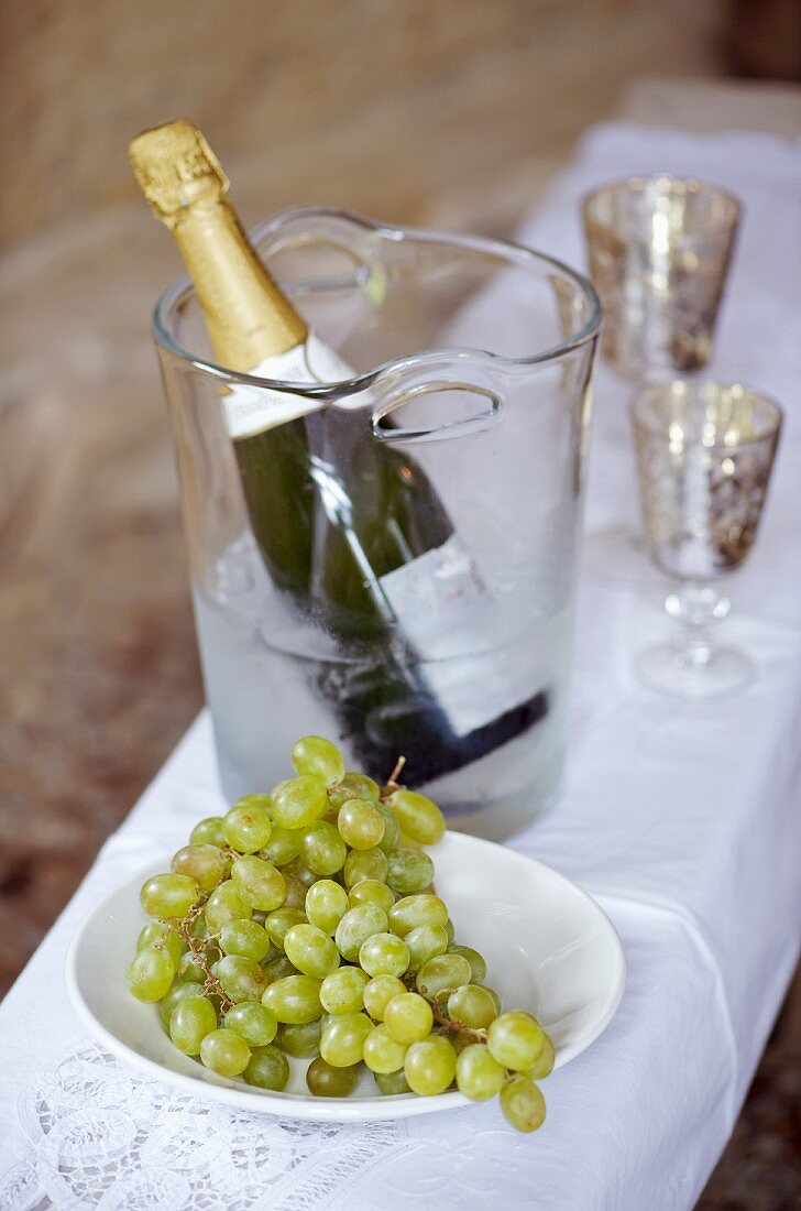 Bottle of champagne in cooler and dish of grapes on tablecloth on bench