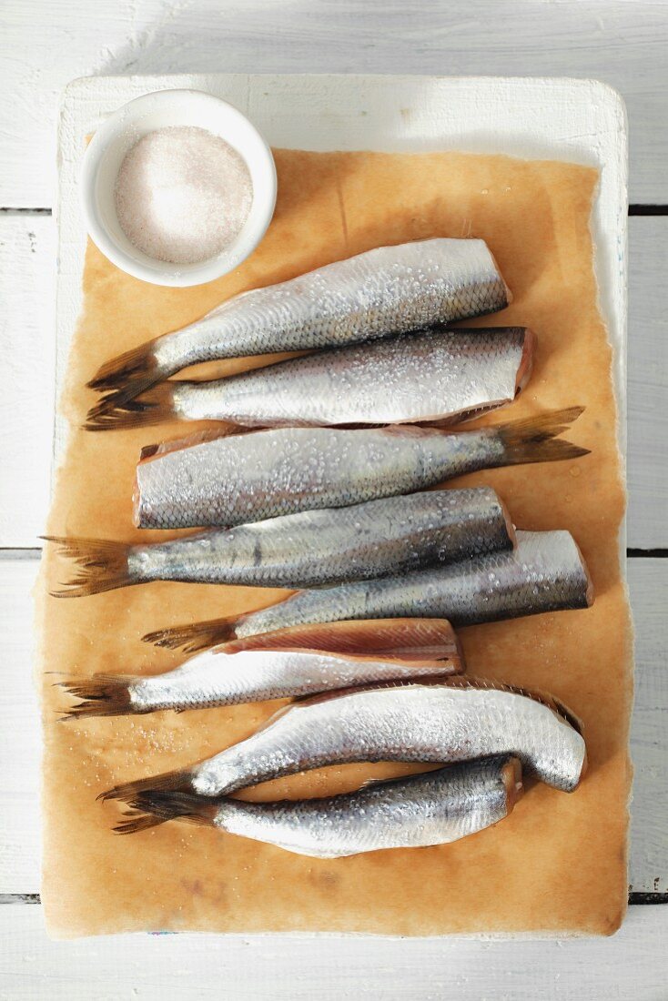 Fresh herrings on parchment paper and dish of salt