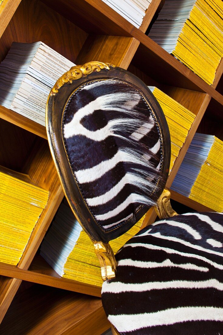 Original chair with zebra skin upholstery in front of books stacked on wooden shelves