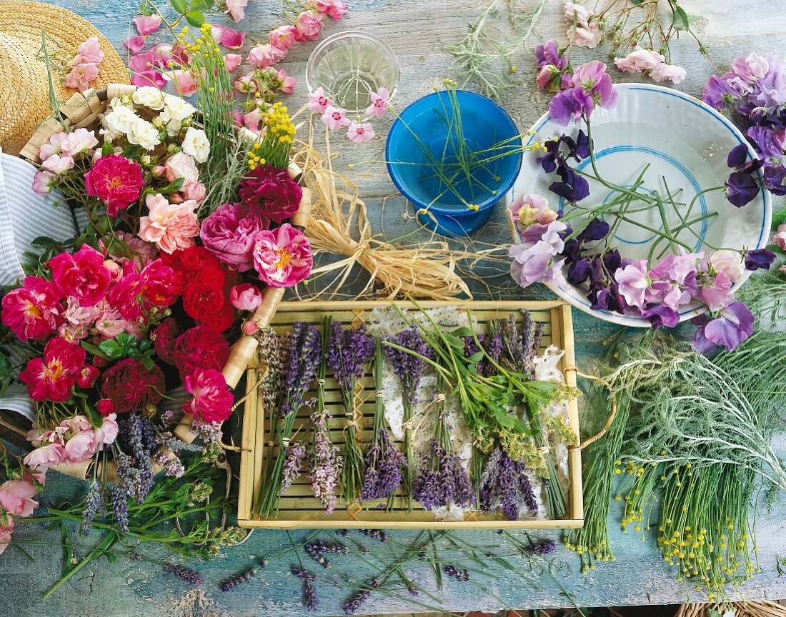 Duftblumen und Duftstoffe: Lavendel, Rosen, Wicken, Heiligenkraut (Santolina), Nelken