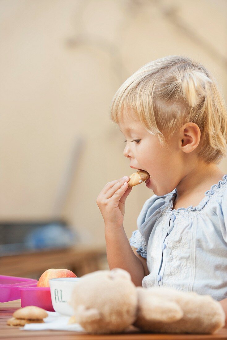 A little girl eating a biscuit dunked in milk